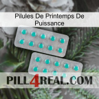 Power Spring Pills 29